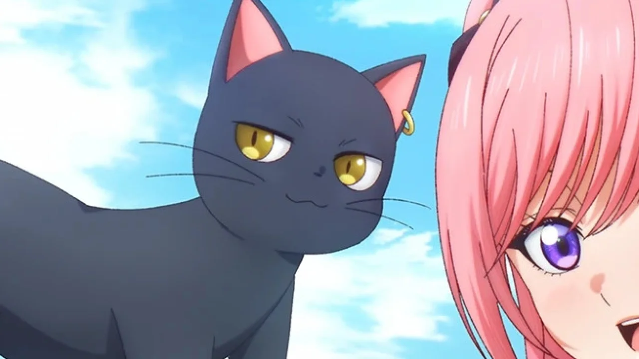 The Classroom of a Black Cat and a Witch