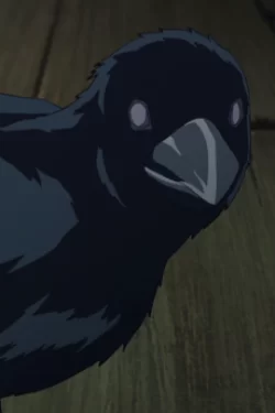 Kasugaigarasu