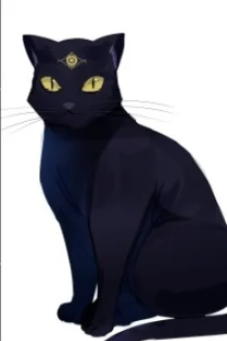 Yoru